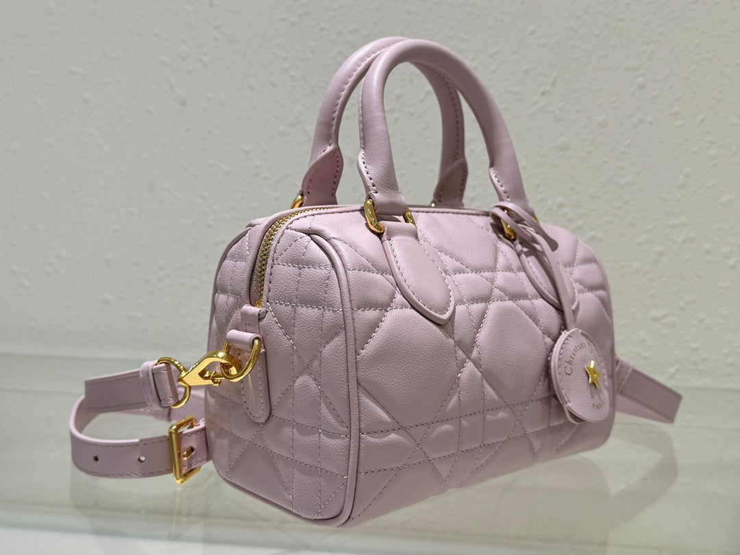 Dior 2026 Groove Bag Pink Calfskin Gold Hardware