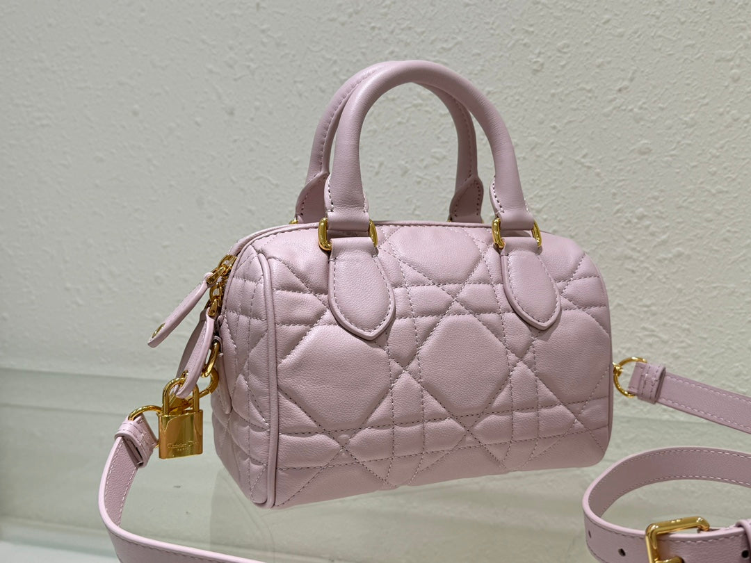 Dior 2026 Groove Bag Pink Calfskin Gold Hardware
