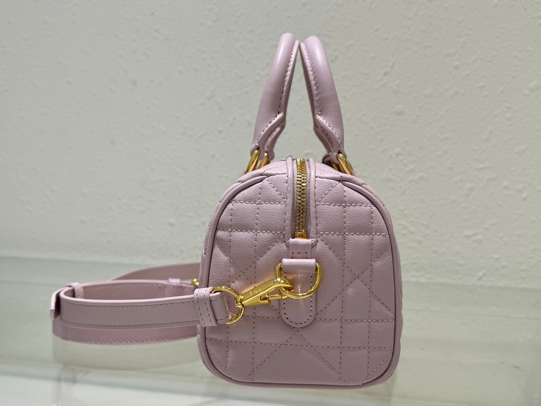 Dior 2026 Groove Bag Pink Calfskin Gold Hardware