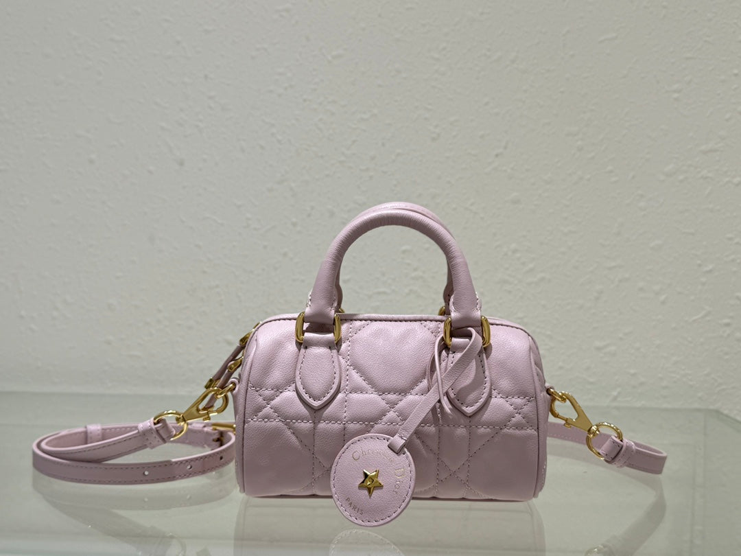 Dior 2026 Groove Bag Pink Calfskin Gold Hardware