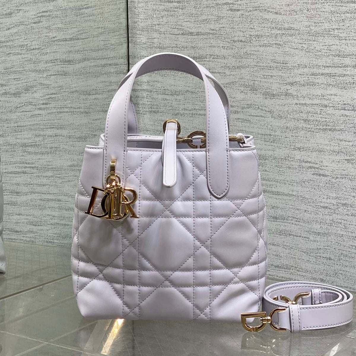 Dior 2026 Toujours Vertical Tote Bag 16cm Leather 406609