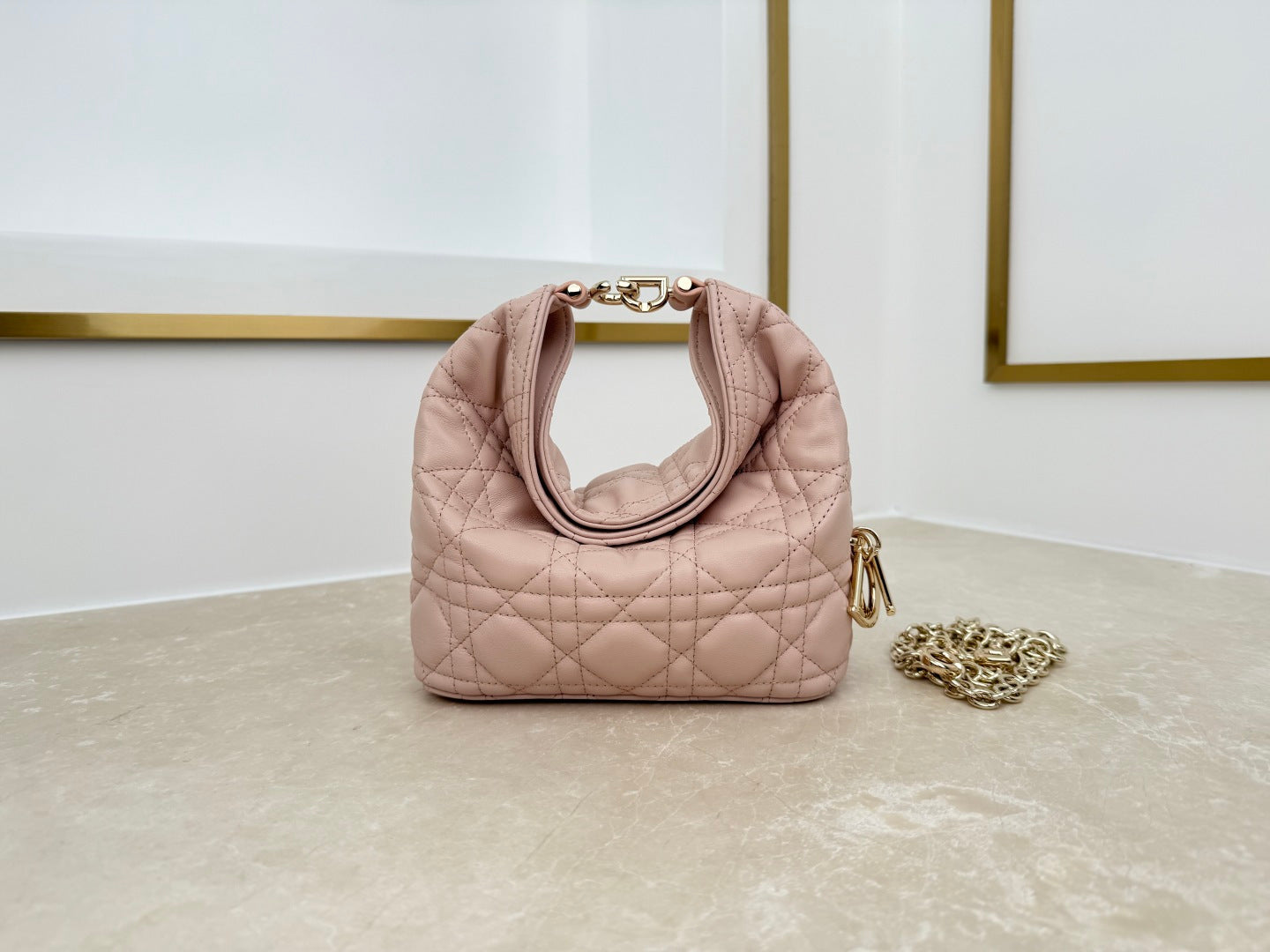 Dior 2026 Toujours Hobo Bag Lambskin