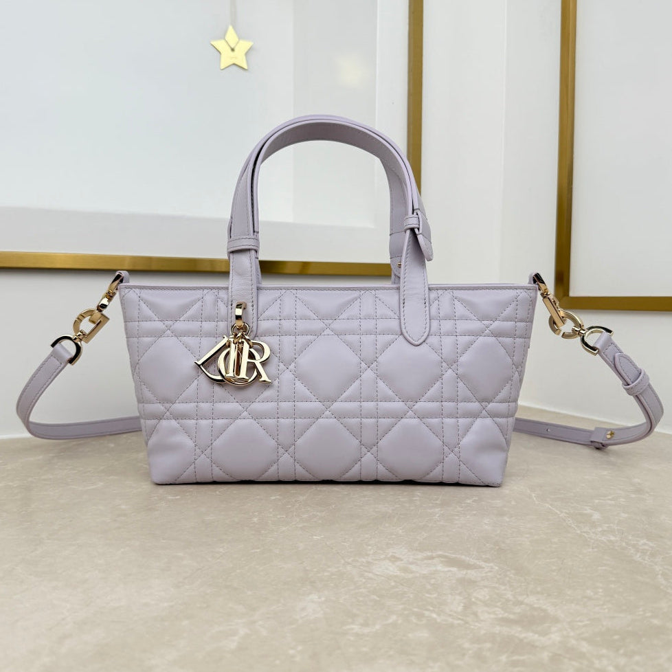 Dior 2026 Small Toujours Bag 23cm Leather