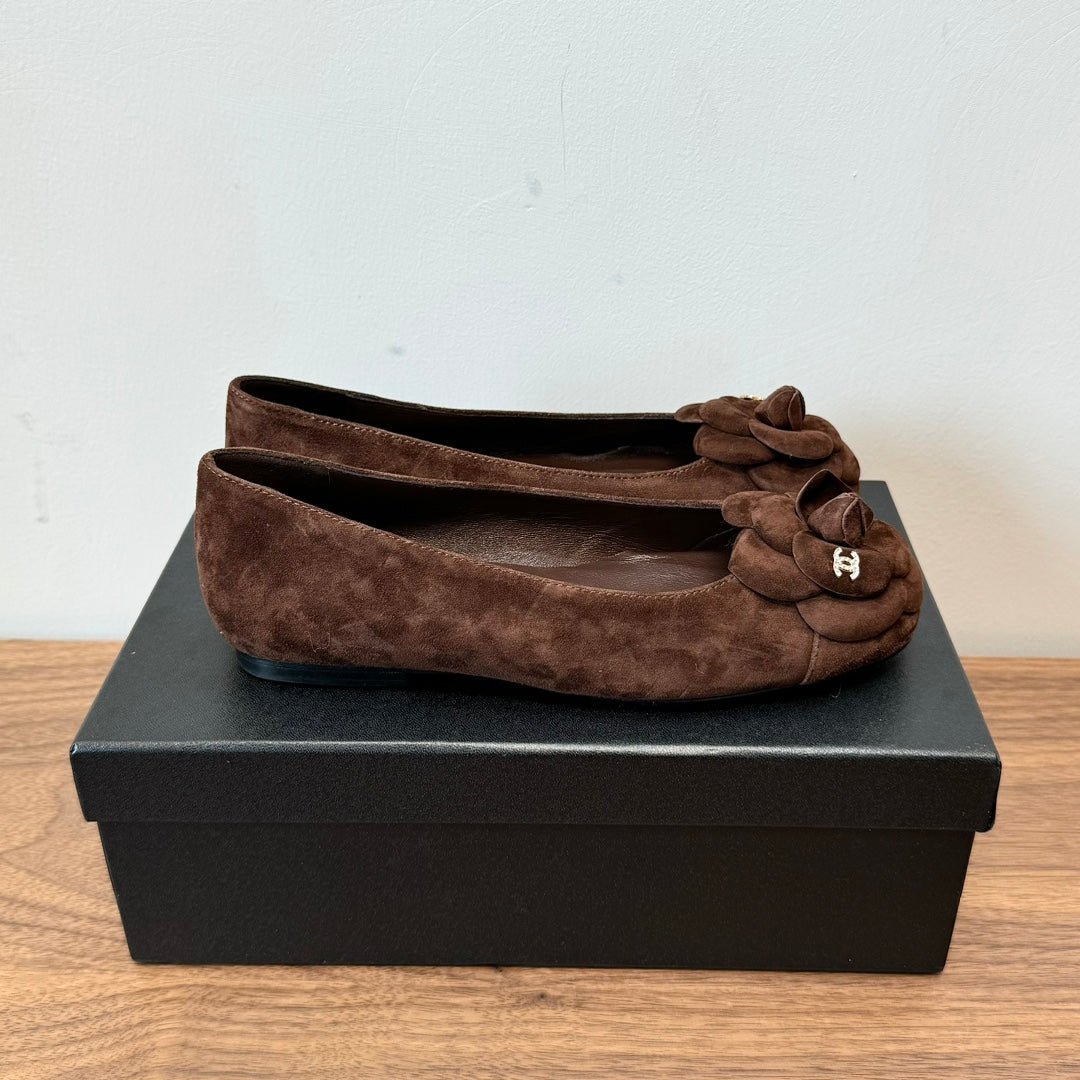 CC Ballet Flats Dark Brown With Camellia Dark Brown Suede