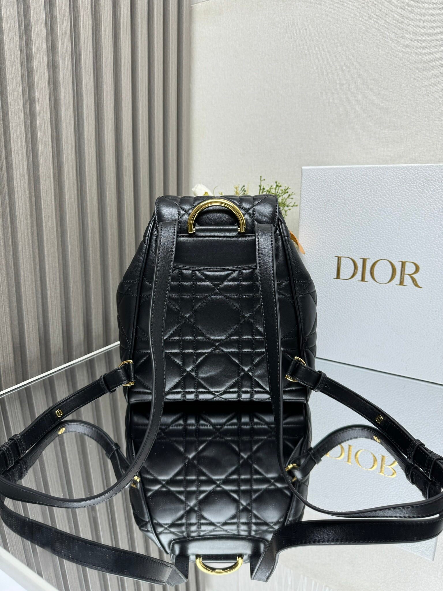 Dior 2026 Caro Backpack Lambskin