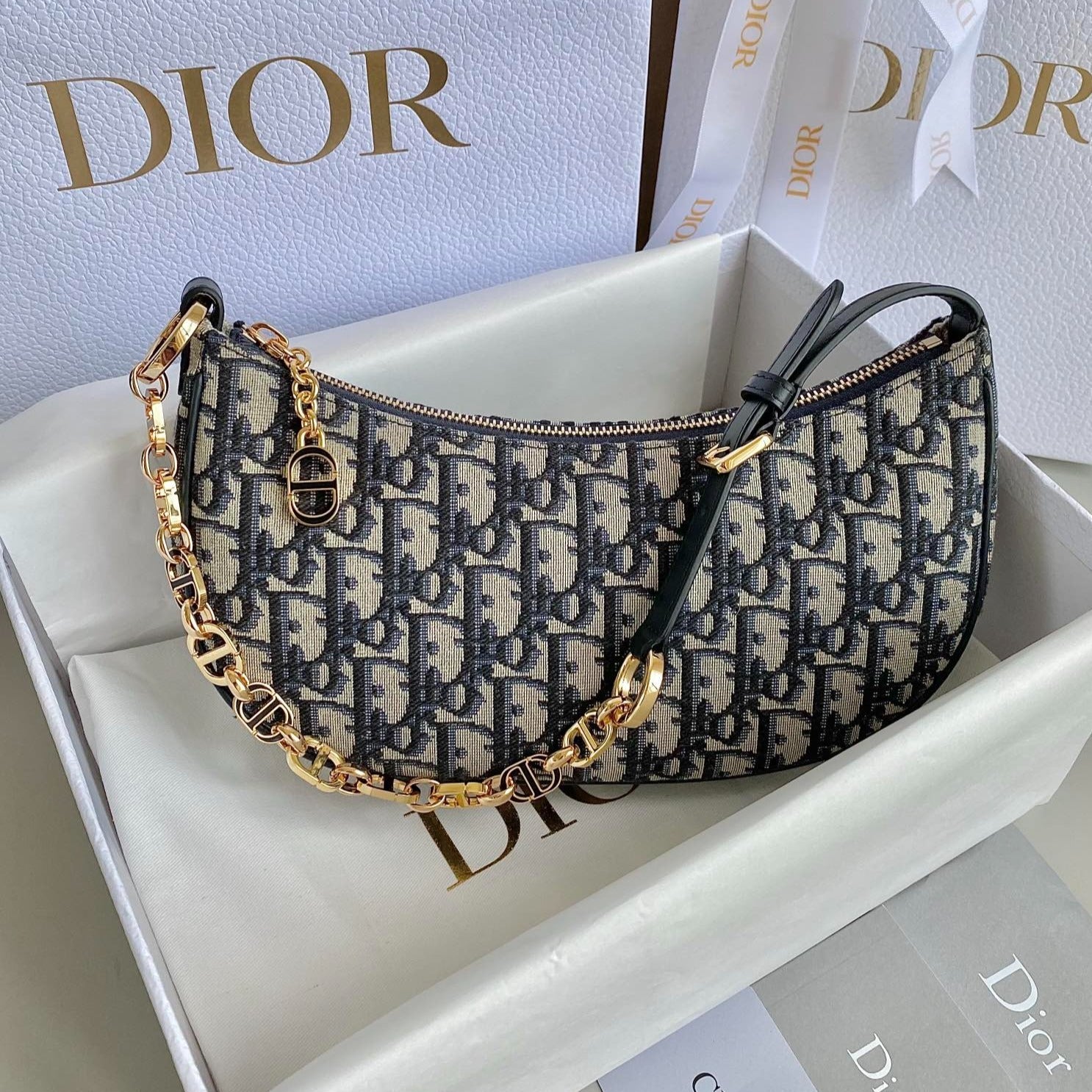 Dior Hobo Bags